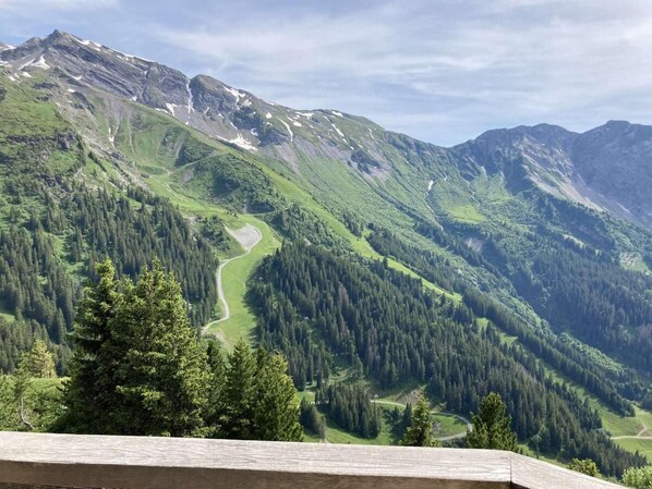 Un paisaje montañoso con una carretera serpenteante y densos bosques.