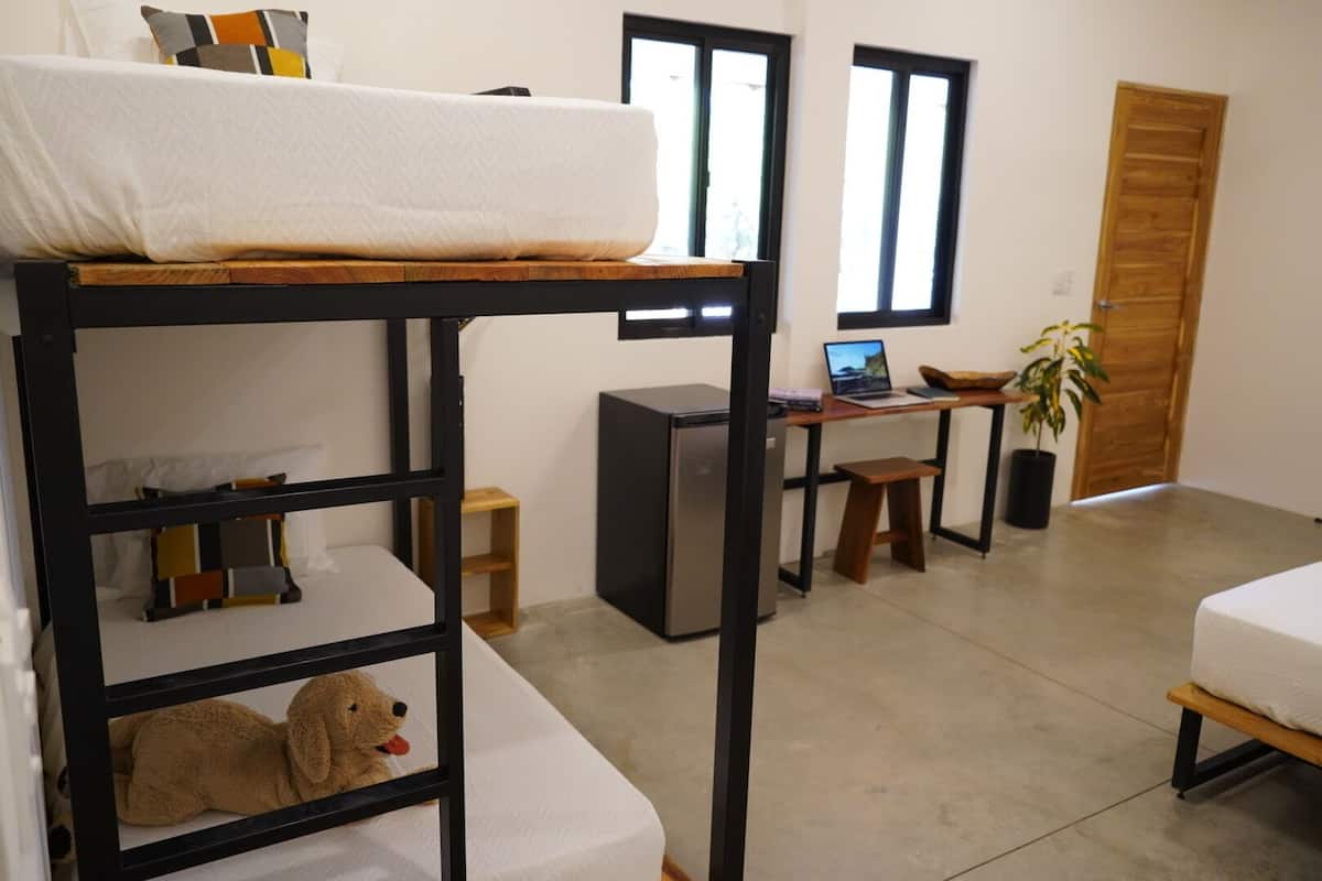 A compact room with a bunk bed, a desk with a laptop, a small stool, and a potted plant.