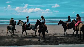 Escena de playa con gente cabalgando a lo largo de la orilla.