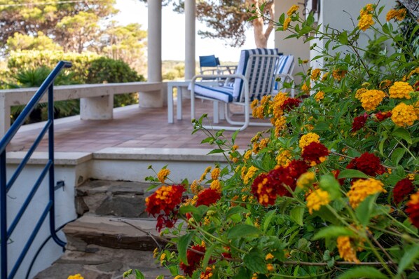 Apartamento | 3 dormitorios