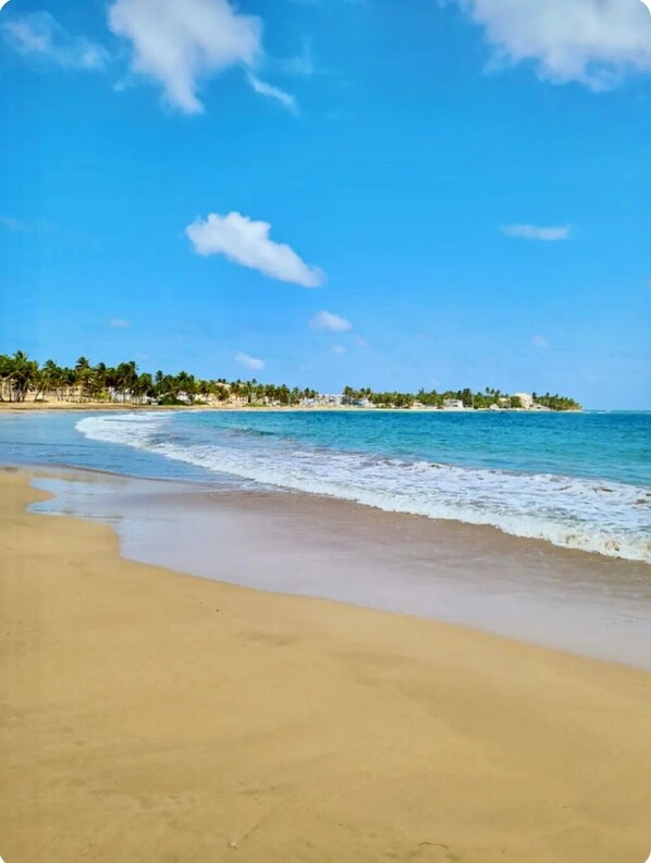 Playa en los alrededores, camastros y toallas de playa 
