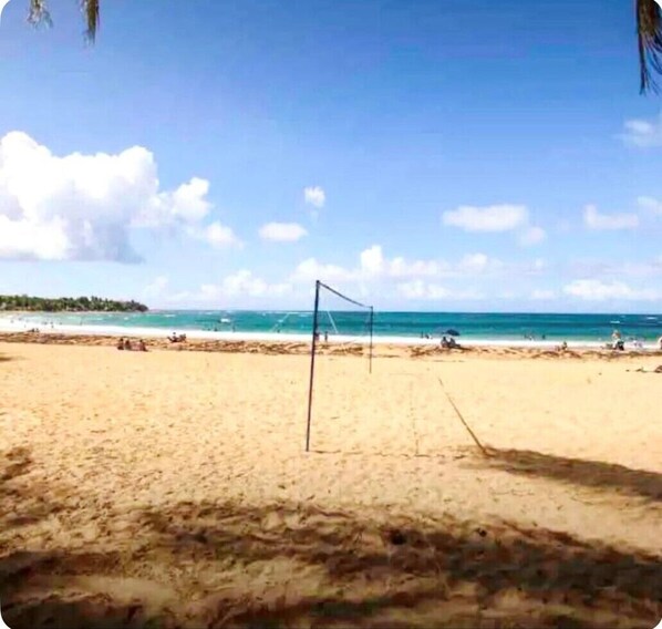 Plage à proximité, chaises longues, serviettes de plage