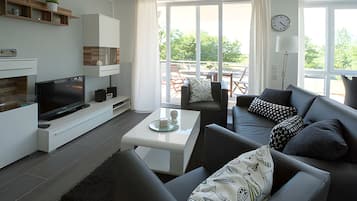 Smart-TV, Kamin