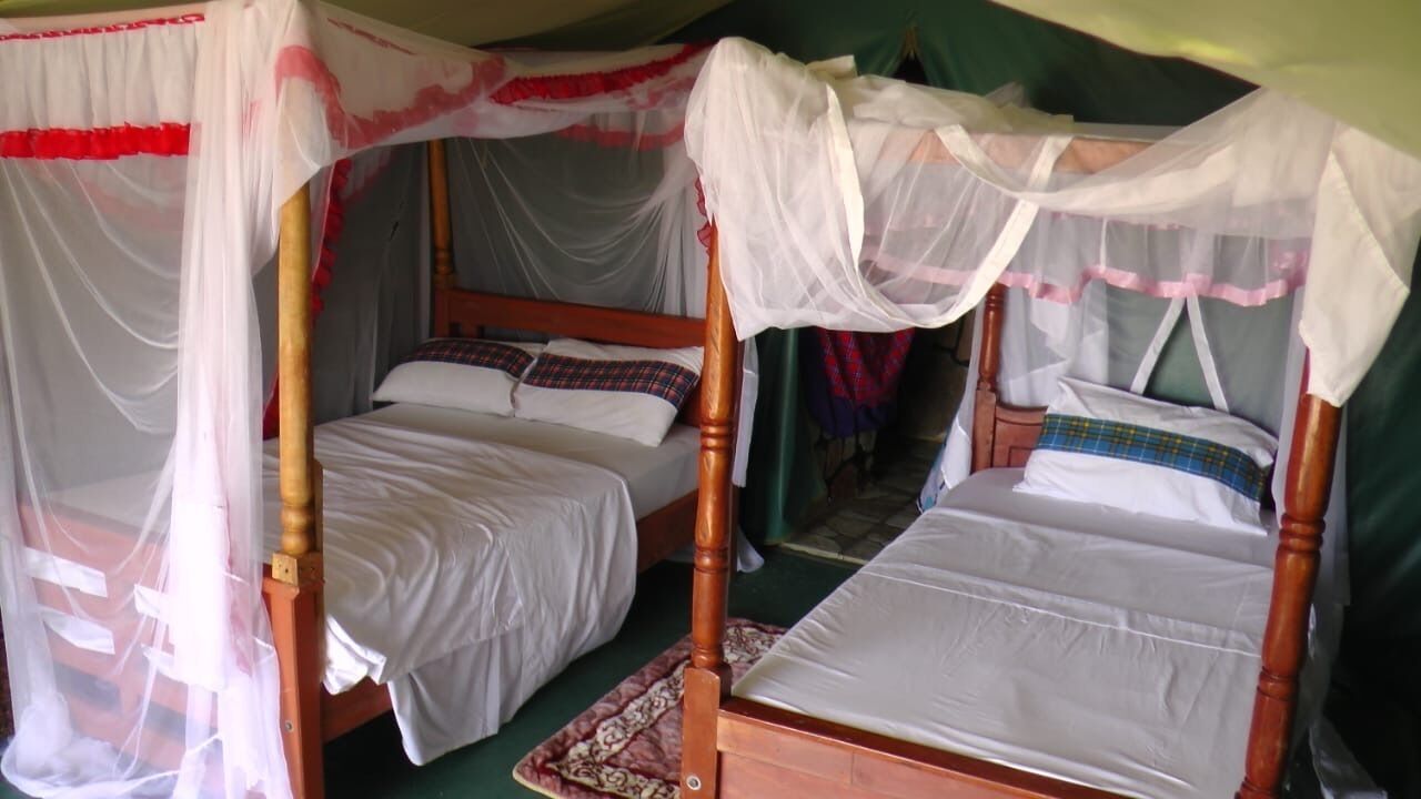 Chambre Deluxe, 2 lits une place, vue jardin | Vue sur le jardin