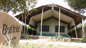 Une structure en forme de tente, portant l’inscription « Buffalo », avec un toit de chaume et une conception simple et ouverte.