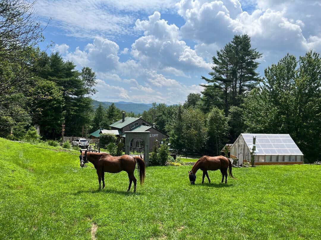 A rural landscape with two horses grazing on a grassy field, a house with a green roof, and a solar panel building.