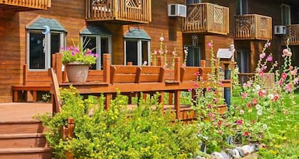 The Springbrook Inn - Forrest View Room (Hot Tub)