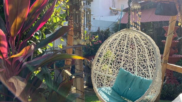 A garden with a hanging chair, a pergola, and various plants. - CABAÑAS PLAYA TIBURON (Coveñas)