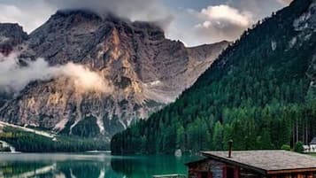 Apartemen | 1 kamar tidur dan internet