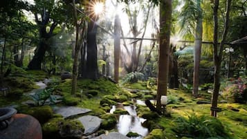A forested area with a small stream, moss-covered ground, and a wooden bridge.