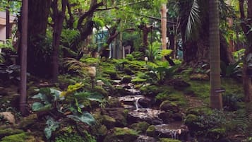 A lush garden with a small waterfall and dense foliage.