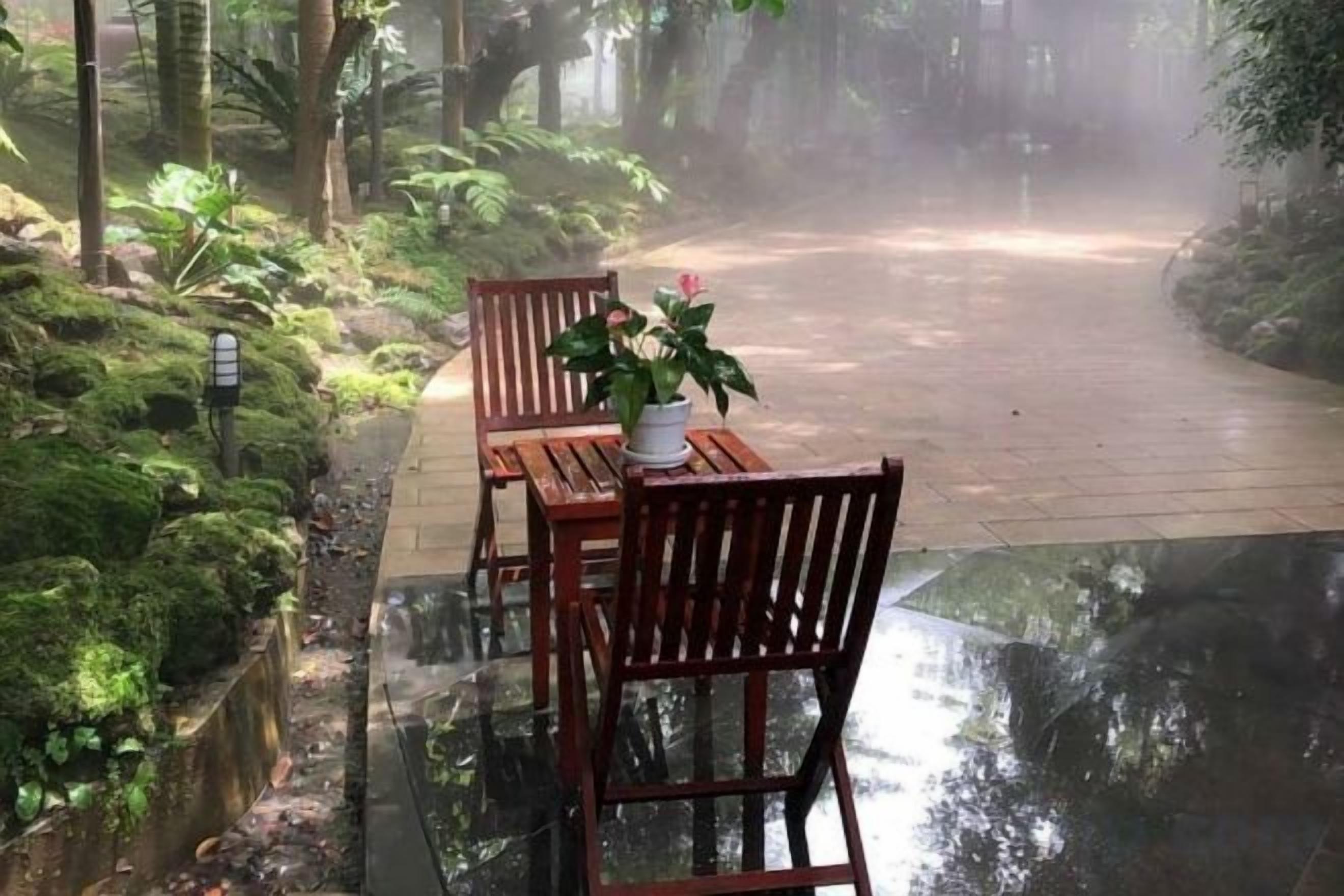 A wooden table and chairs set on a wet surface with a potted plant, surrounded by lush greenery and a pathway leading into the distance.