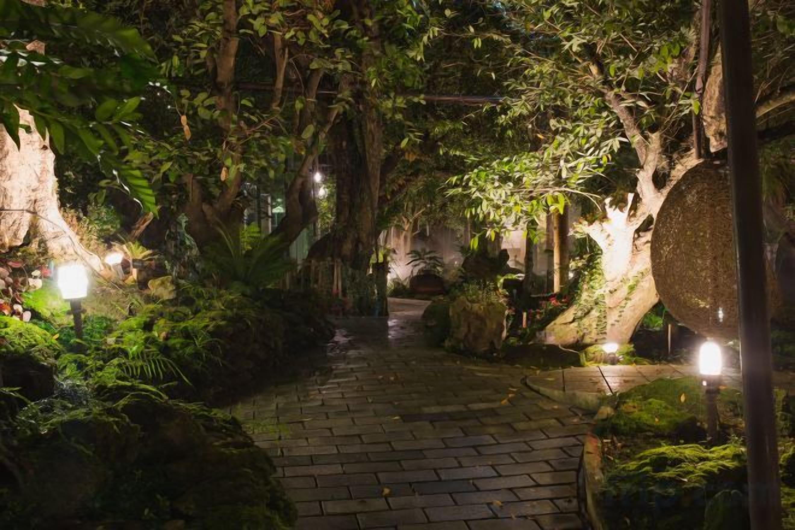 Caminho por um jardim exuberante com calçada de pedra, cercado por folhagem densa e iluminado por luz suave.