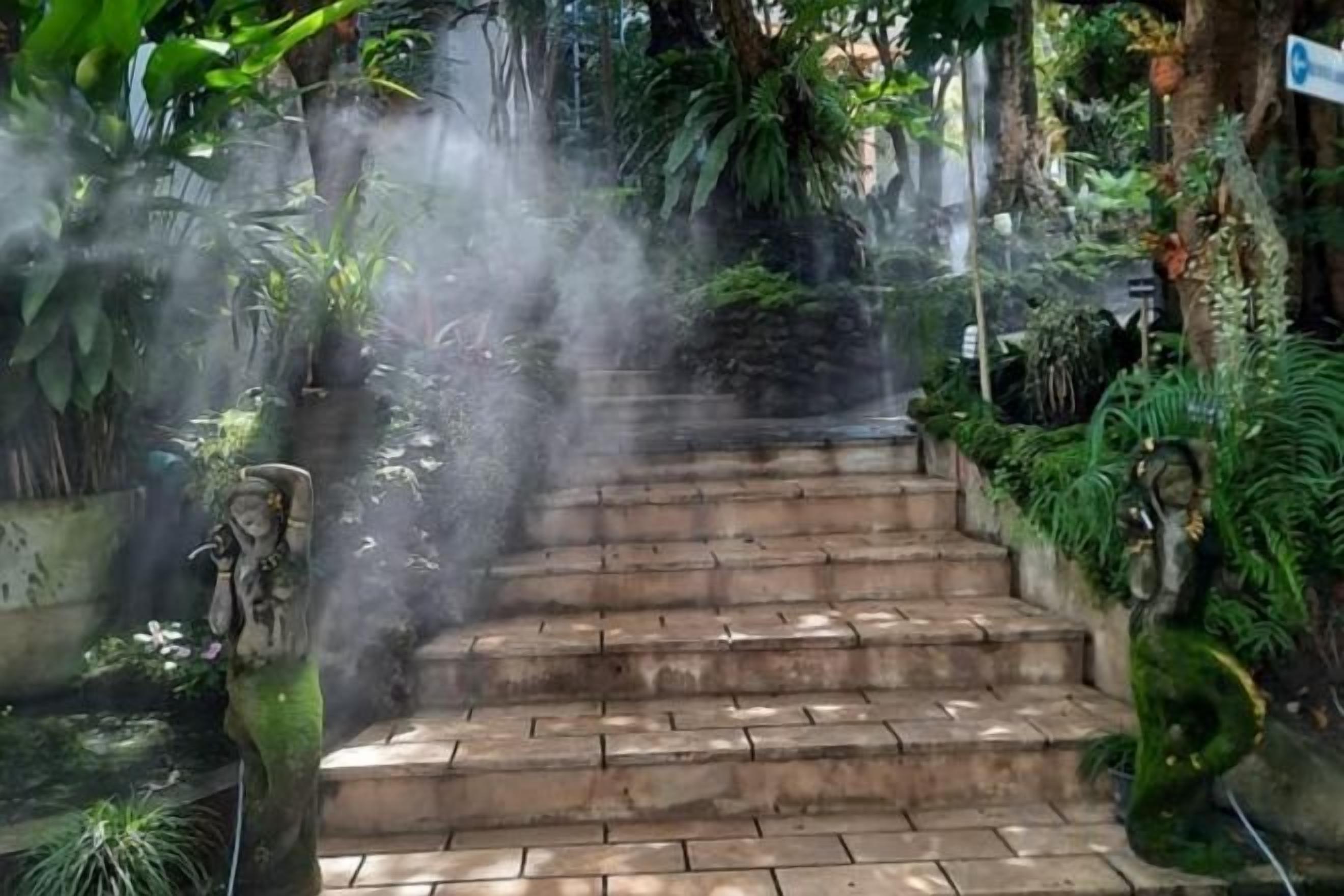 A staircase surrounded by lush greenery, leading to a higher level.