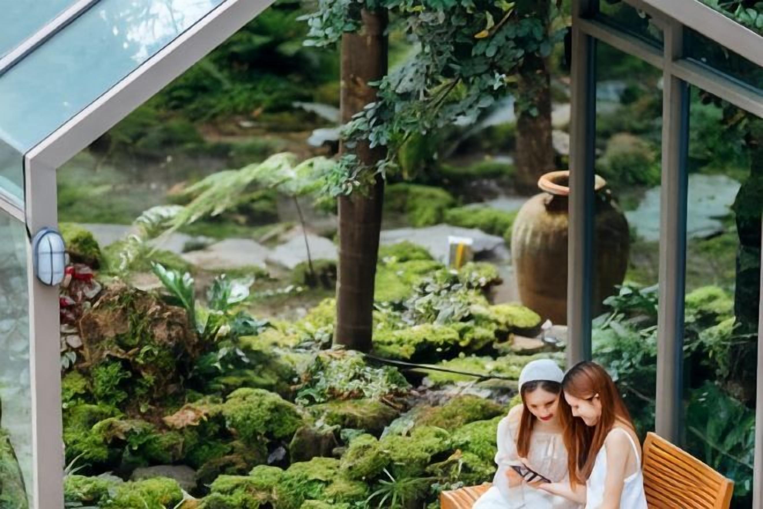 A conservatory with a glass ceiling, a wooden bench, and a moss-covered ground.