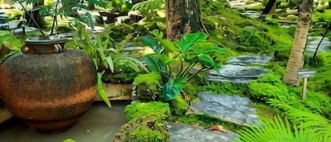 A lush indoor garden with a moss-covered stone path, a large pot, and various plants.