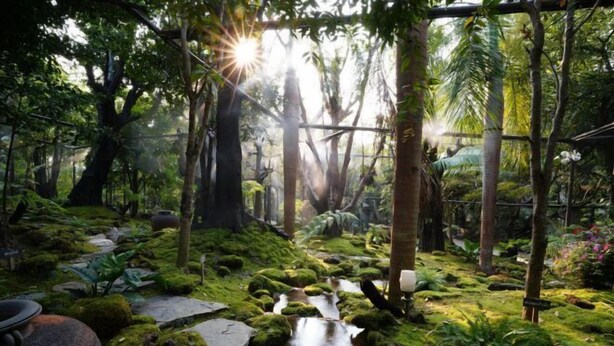 A lush indoor garden with a small stream, moss-covered rocks, and various tropical plants. - TreeScape Resort Chiang Mai (Hang Dong)