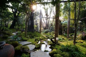 Interior - TreeScape Resort Chiang Mai (Hang Dong)
