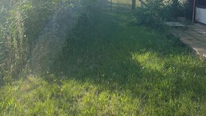 A grassy area with a metal gate, a tree, and a building with a sloped roof. - Privatunterkunft in Wendisch Rietz, Deutschland (Wendisch Rietz)