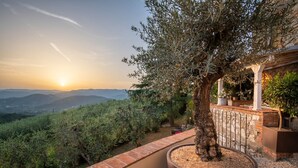 Un balcon agrémenté d’un olivier en pot, offrant une vue panoramique sur un paysage magnifique, avec des montagnes et un coucher de soleil.
