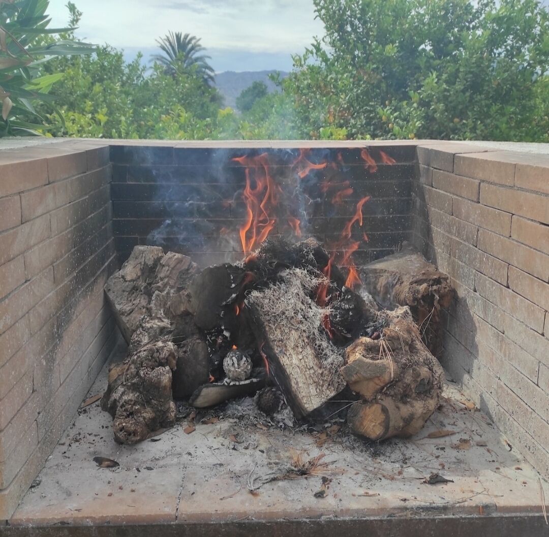 A fire pit with burning logs surrounded by a brick structure, set against a backdrop of greenery and distant hills.