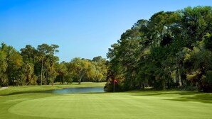Ein Golfplatz mit Wasserhindernis, umgeben von Bäumen und blauem Himmel.