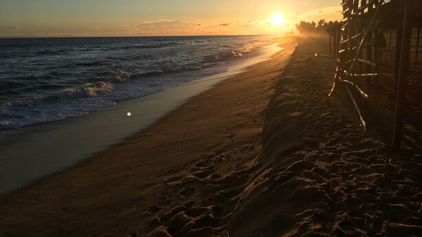 A beach with the sun setting over the ocean, palm trees, and a wooden fence.