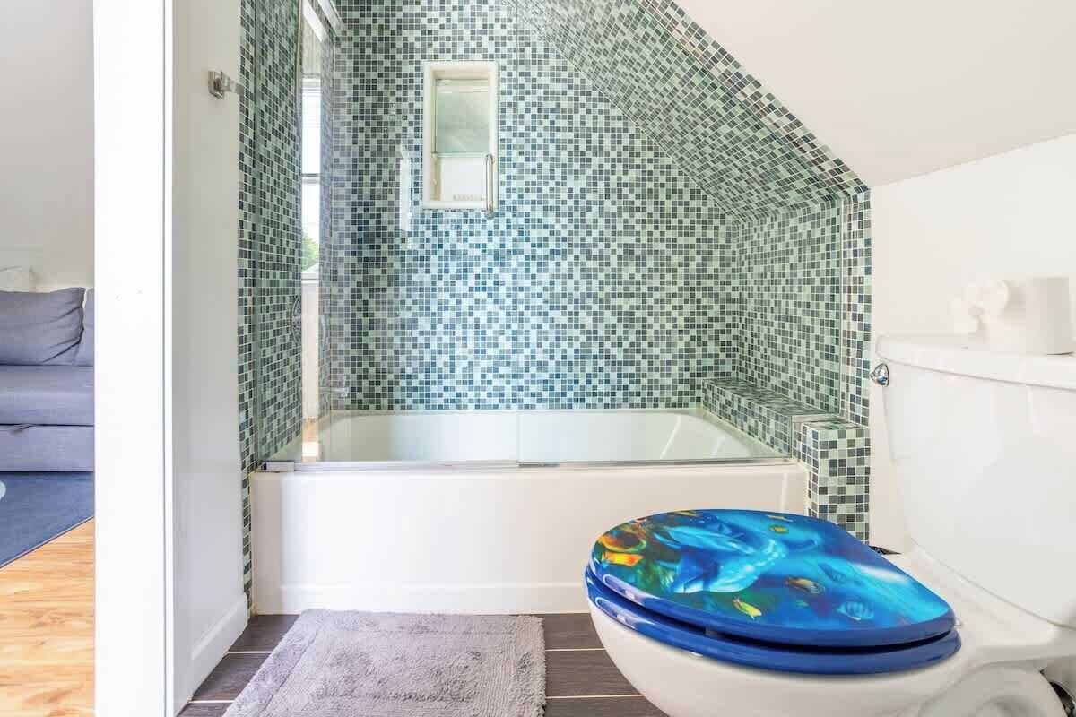 Shower, hair dryer