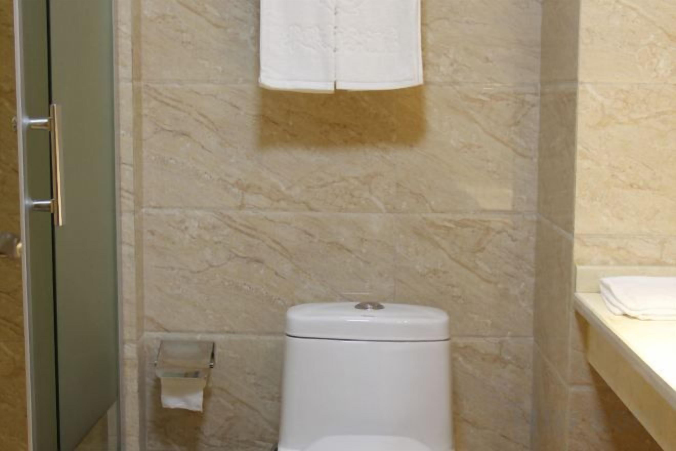 Un bagno con il water, un portasciugamani e una parete in marmo.