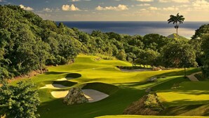 A golf course with lush greenery, sand bunkers, and a palm tree. - Palm Breeze Condo, Sugar Hill near Holetown - Beach Club Membership (Mount Standfast)