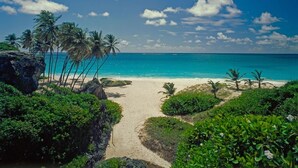 A beach with palm trees, a clear blue sky, and a sandy path leading to the ocean. - Palm Breeze Condo, Sugar Hill near Holetown - Beach Club Membership (Mount Standfast)