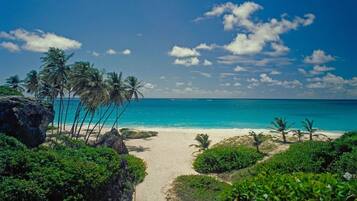 Chaises longues, serviettes de plage