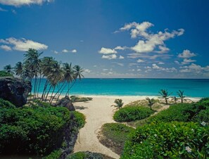 Sun-loungers, beach towels