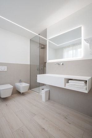 Shower, hair dryer, bidet, towels