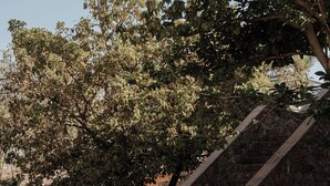 A stone staircase leading up to a building, surrounded by greenery and a clear sky. - La Cascada Hotel Boutique (Juanacatlán)