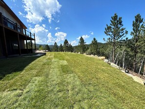 Property grounds - Casa del Sol is a private oasis surrounded by trees near Pactola Lake.  (Rapid City)