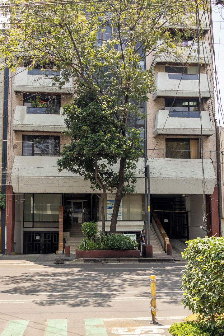 Un edificio de varios pisos con una escalera central, un árbol en frente y un paso de peatones.