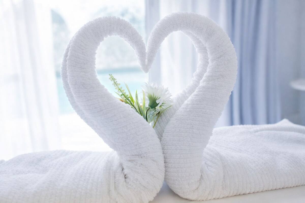 Una toalla doblada en forma de corazón con una pequeña planta en el centro, sobre un fondo brillante y desenfocado.