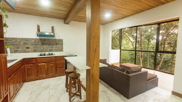 Duplex, 1 Bedroom, Balcony, Mountain View | Hypo-allergenic bedding, down comforters, desk, laptop workspace