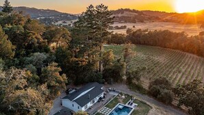 A house with a swimming pool, surrounded by trees and a vineyard. - Calistoga Vista-Pool, Hot Tub - Tastings Included (Calistoga)