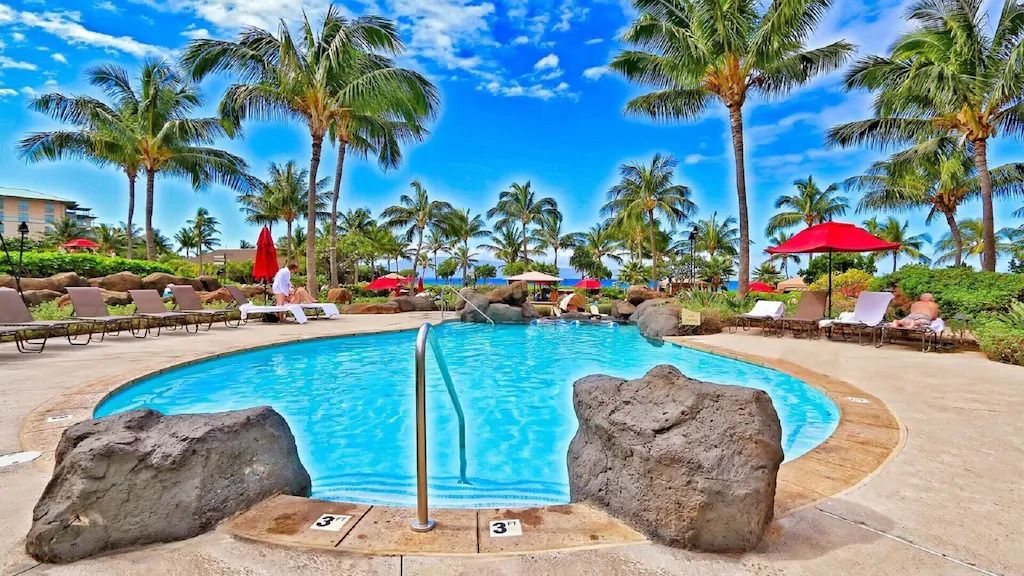 A swimming pool with lounge chairs and palm trees.