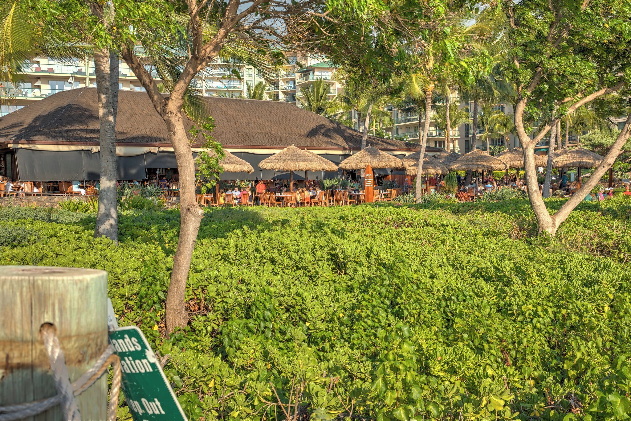 Une zone de villégiature avec des espaces de détente en plein air, abrités par des parasols en chaume, et entourée d’une végétation luxuriante et de palmiers.