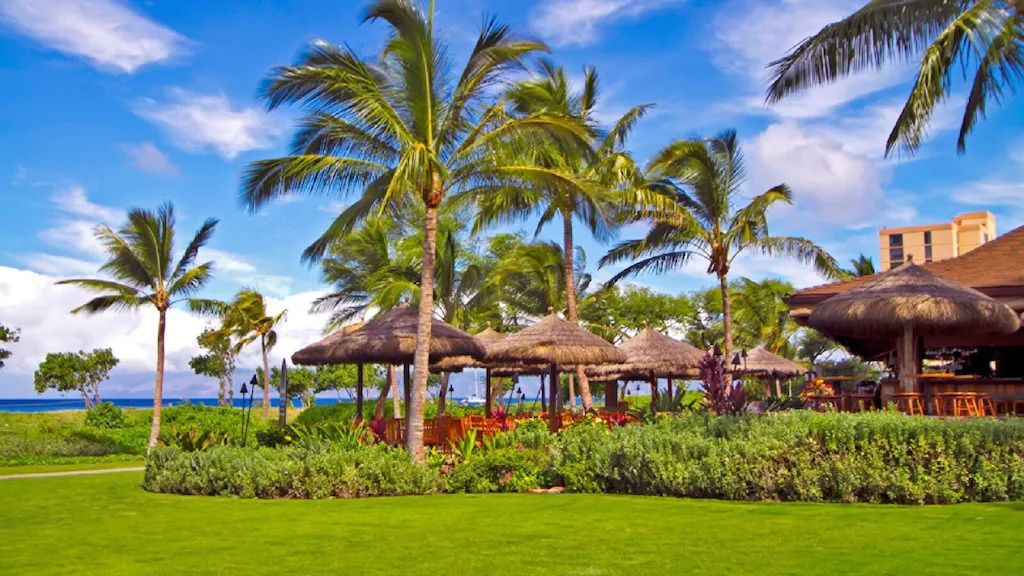 A tropical resort with thatched-roof structures, palm trees, and a view of the ocean.