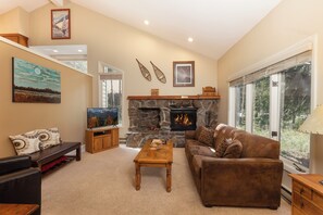 Smart TV, fireplace, books, video library