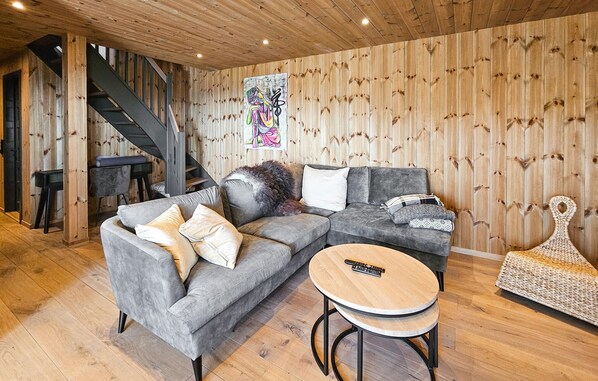 Fernseher, Kamin
