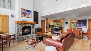 TV, fireplace, books