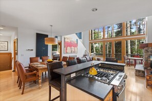 Interior - Starry Nights & Snowy Days So Close to Slopes (Telluride)