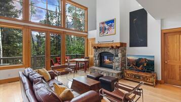 TV, fireplace, books