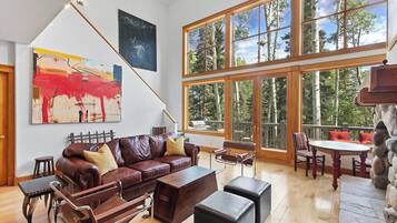 TV, fireplace, books