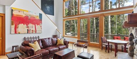 Televisión, chimenea, libros